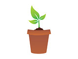abstract plant icon
