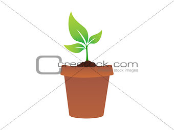 abstract plant icon