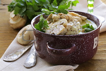 stew chicken in a creamy sauce with mushrooms