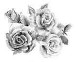 Flower sketch bouquet