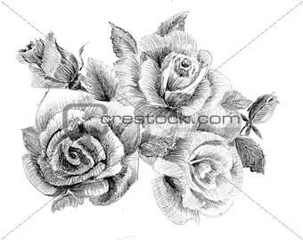 Flower sketch bouquet
