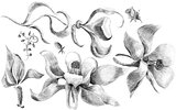 Flower sketch set