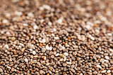 chia seeds close-up