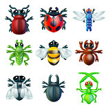 Insect bug icons 