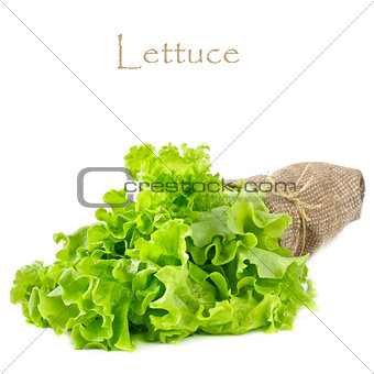 Lettuce.
