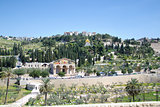 Mount of Olive, Jerusalem