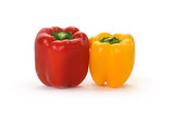 Red and yellow Bell Pepper
