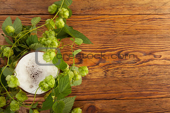 Pint and hop plant