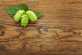 Hop plant on a wooden table