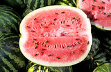 Ripe watermelon