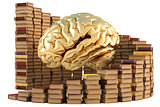 brain with books