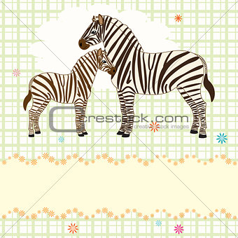 Nice vector card with two zebras