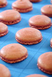 Blanks for the macaroons close up.