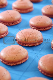 Blanks for the macaroons close up.