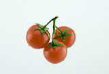 three small cherry tomatoes on a branch