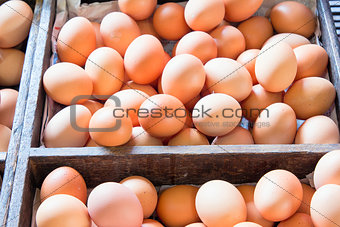Farm Fresh Chicken Eggs in Wooden Crates
