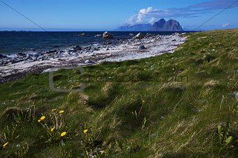 Beach on Lofoten islands