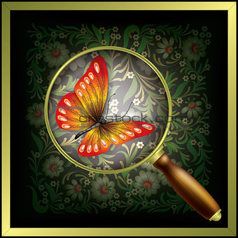 abstract background with lens and butterfly