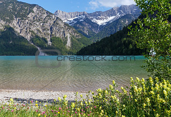 Plansee summer landscape (Austria).