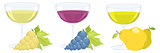 glasses with grape and fruit wines. vector set