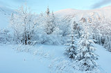 Predawn winter mountain landscape