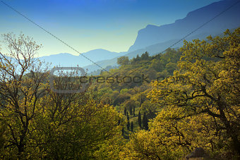 Landscape of a mountain valley in Crimea