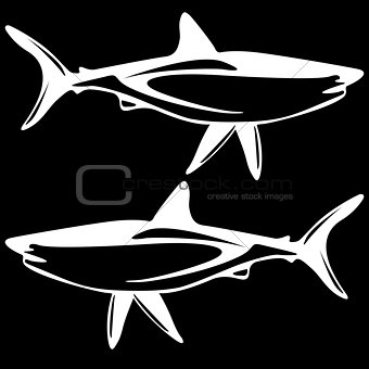 Shark,  black and white outline. 