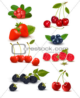 Big group of fresh berries and cherries. Vector illustration.