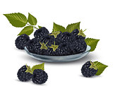 Fresh blackberries with leaves in glass bowl Vector illustration