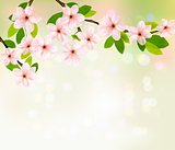 Spring background with blossoming tree brunch with spring flower