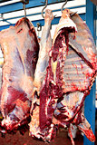 slaughterhouse cows, hanging on hooks