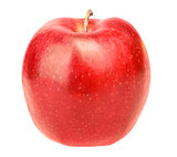 Single fresh red apple