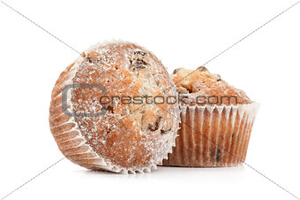Fresh muffin close up
