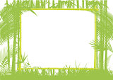 Bamboo and Jungle Frame