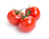 fresh tomatoes with branch