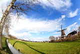 Dutch windmill on green pasture