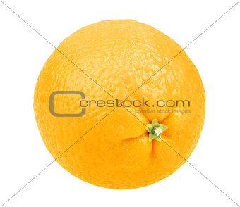 Fresh fruit of orange