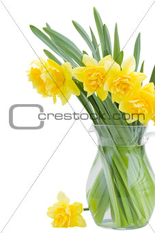 bouquet of narcissus