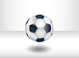 Isolated soccer ball.