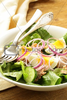 French salad Nicoise - with tuna and egg