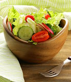 fresh spring salad with tomatoes and cucumber