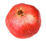 Single fresh red pomegranate