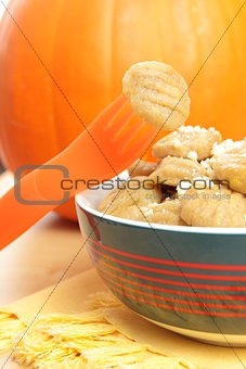 pumpkin gnocchi for children