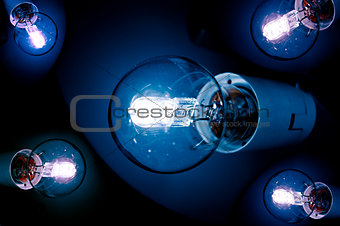 Close-up of Lightbulbs