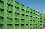 Green Fruit packing crates
