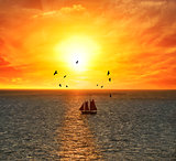 Sailing Boat At The Sunset