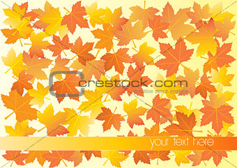 Vector illustration of autumn background with place for your text