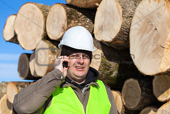 Lumberjack talking on the cell phone near at the log pile