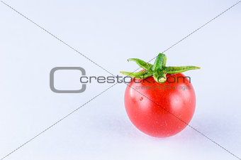 Tomato in white background