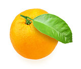 Orange-fruit with green leaf